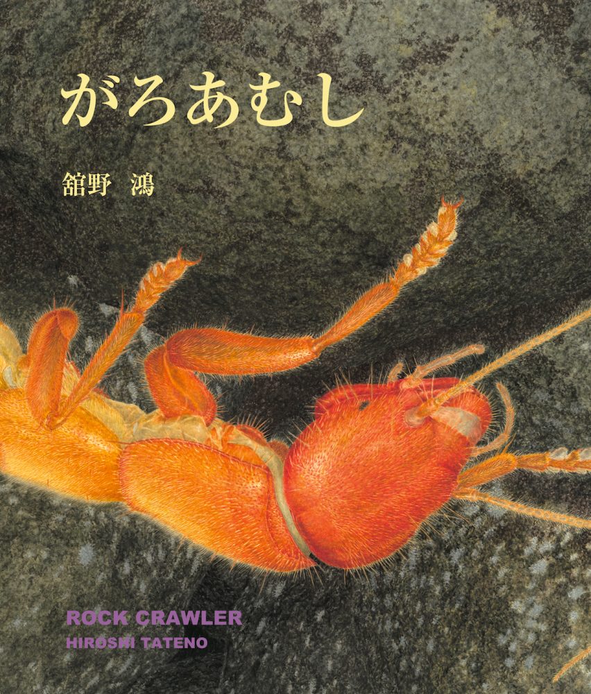 取材10年 舘野鴻さんが描き上げた絵本『がろあむし』が刊行。暗黒世界に棲む虫の美しい一生とは？