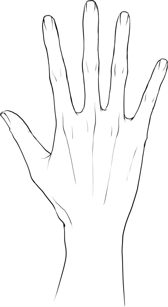 うつくしい手の描き方 第１回 描きたい手を見つけよう Illustration Mag