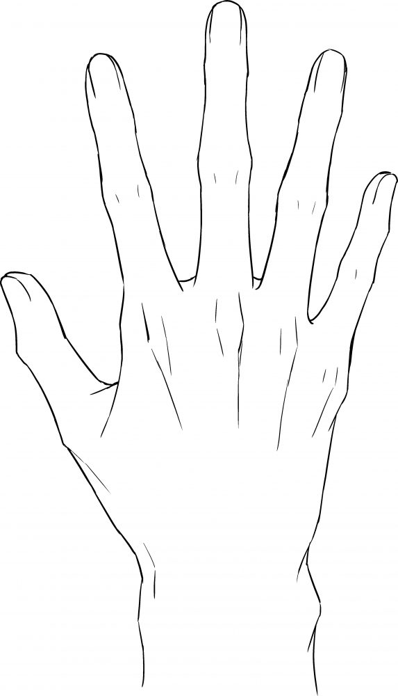 うつくしい手の描き方 第１回 描きたい手を見つけよう Illustration Mag