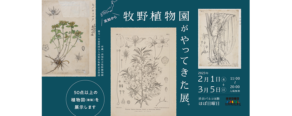 精緻な植物図が並ぶ「牧野植物園がやってきた展。」が２月１日（水）より渋谷PARCOで開催