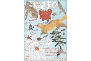 名君・細川重賢による博物図譜を一挙公開！　「殿さまのスケッチブック」が、東京・目白の永青文庫で開催