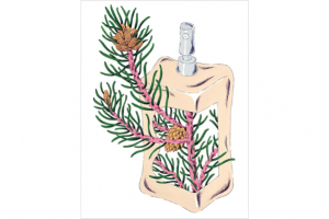 編集部ピックアップ！　今週末に行きたい展覧会 ４月11日（土）～４月12日（日）